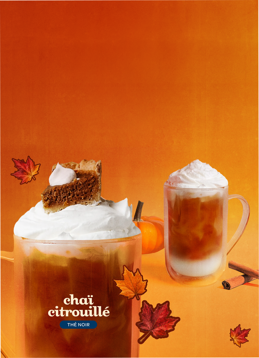 DAVIDsTEA AUG 25 FALL FLIP 2 Pumpkin Chai promotion