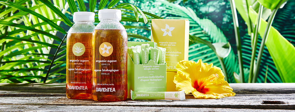 The wonderful world of agave | Steep Thoughts