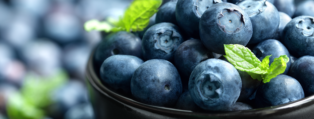 Ingredient Focus: Blueberries