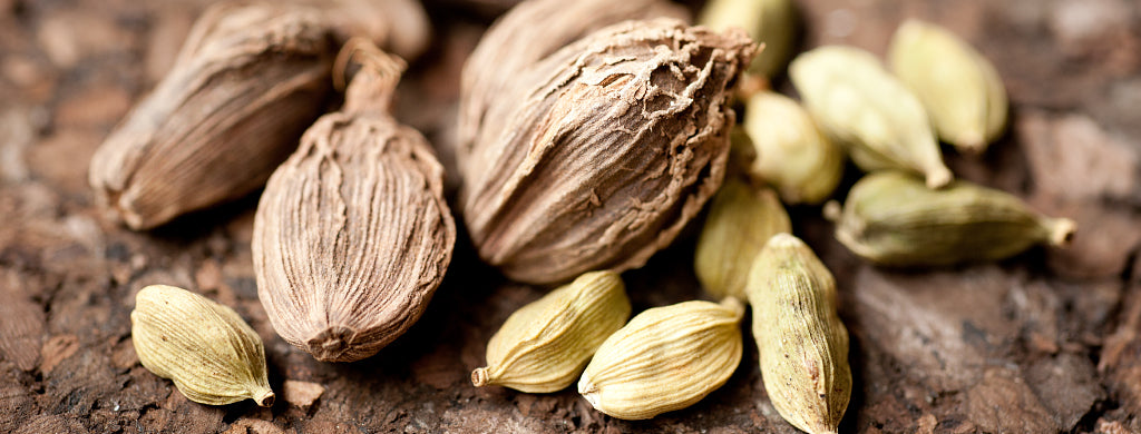 Ingredient Focus: Cardamom