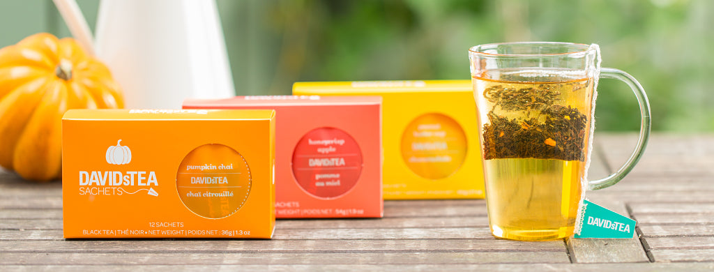 DAVIDsTEA Steep Thoughts - New and Improved: Tea Sachet Update