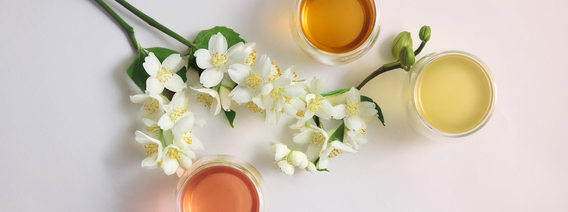 Three clear mugs of tea arranged around a branch of jasmine.