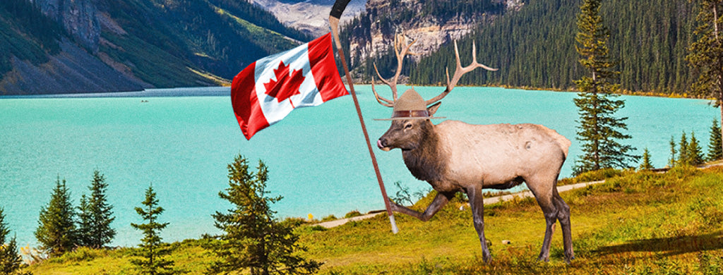 Canada’s Top 10 Iced Teas