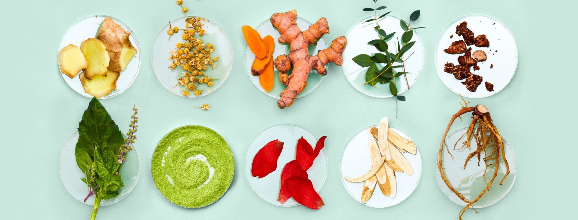 Top 10 Ingredients to Watch in 2019