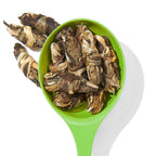Butterfly Jasmine Tea Green front view