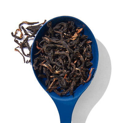 Organic Nepal Black Tea Black front view