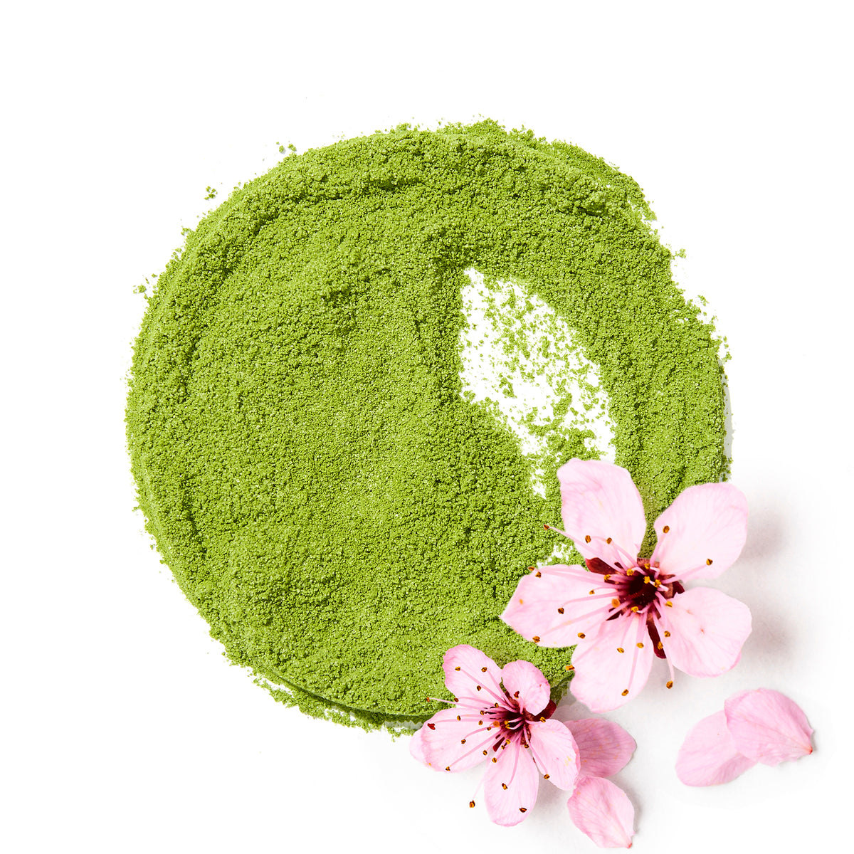Organic Cherry Blossom Matcha Matcha Drink Mix front view