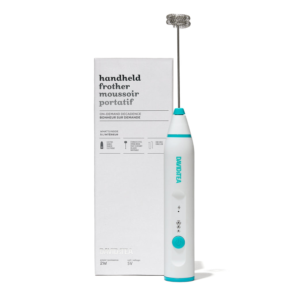 Handheld Double Milk Frother  front view