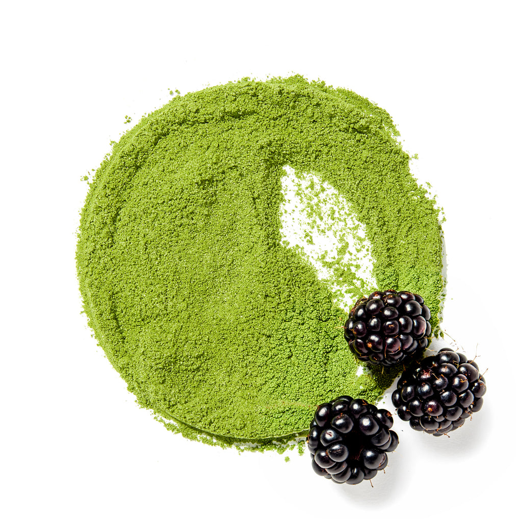 Blackberry Matcha powder with fresh blackberries