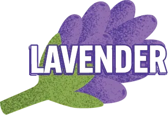 Lavender